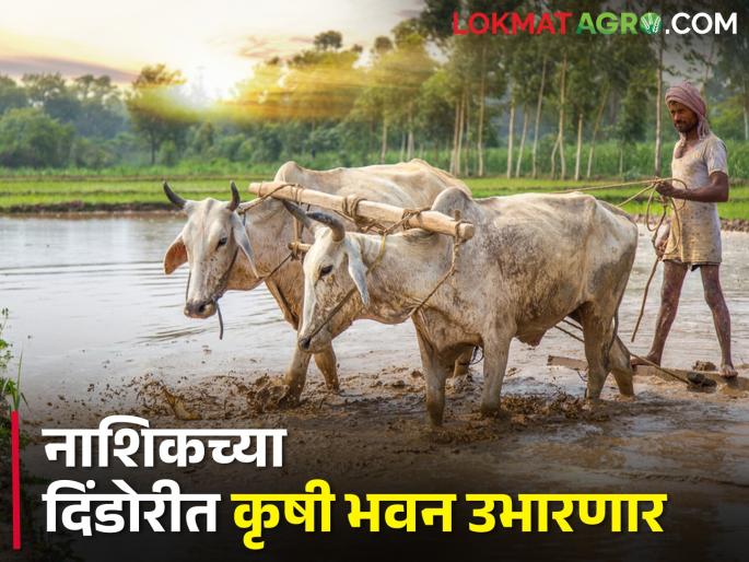 latest news agriculture department maharashtra Krishi Bhawan will be set up in Dindor, Nashik | कृषि विभागाची कामे एकाच छताखाली, नाशिकच्या दिंडोरीत कृषी भवन उभारणार latest news agriculture department maharashtra Krishi Bhawan will be set up in Dindor, Nashik | कृषि विभागाची कामे एकाच छताखाली, नाशिकच्या दिंडोरीत कृषी भवन उभारणार