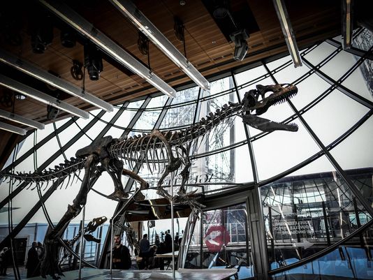 Mystery dinosaur skeleton sells for over $2 million at Paris auction | महागडा डायनॉसॉर, 2 अब्ज डॉलर्सना विकला सांगाडा Mystery dinosaur skeleton sells for over $2 million at Paris auction | महागडा डायनॉसॉर, 2 अब्ज डॉलर्सना विकला सांगाडा