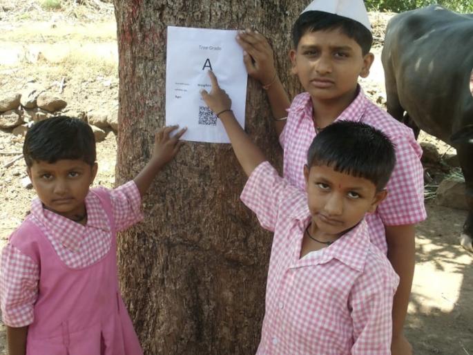 Wrinkle QR code; Immediate messages if the tree breaks | बुंध्यावर क्यूआर कोड; झाड तोडल्यास तत्काळ मेसेज