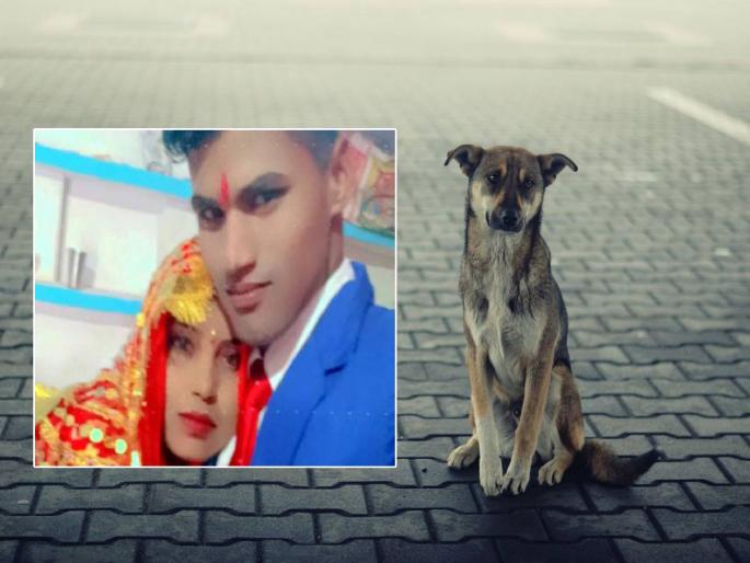 Distraught wife ends life after husband brings puppy home in Udham Singh, Uttarakhand | पतीने कुत्र्याच्या निराधार पिल्लाला घरी आणल्याने 'ती' अस्वस्थ; पत्नीनं घेतला टोकाचा निर्णय Distraught wife ends life after husband brings puppy home in Udham Singh, Uttarakhand | पतीने कुत्र्याच्या निराधार पिल्लाला घरी आणल्याने 'ती' अस्वस्थ; पत्नीनं घेतला टोकाचा निर्णय
