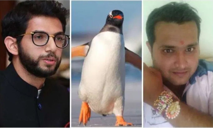 Samit Thakkar arrested for calling Aditya Thackeray a baby penguin | आदित्य ठाकरेंना बेबी पेंग्विन म्हणणाऱ्या ठक्करला अटक, आज कोर्टात हजर होणार Samit Thakkar arrested for calling Aditya Thackeray a baby penguin | आदित्य ठाकरेंना बेबी पेंग्विन म्हणणाऱ्या ठक्करला अटक, आज कोर्टात हजर होणार