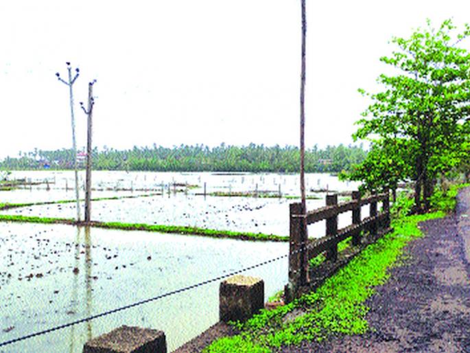 The valves of Diveagar creek were broken | दिवेआगर खाडीच्या झडपा तुटल्या The valves of Diveagar creek were broken | दिवेआगर खाडीच्या झडपा तुटल्या