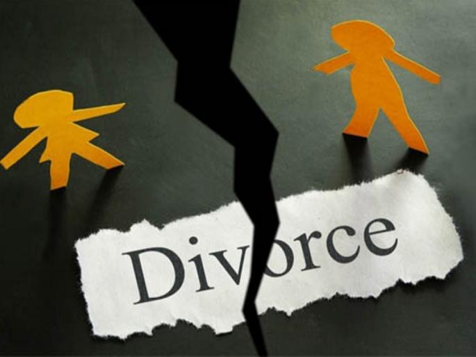The wife who made serious accusations against her husband and family was struck by the court, and the divorce was granted | पती आणि कुटुंबीयांवर गंभीर आरोप करणाऱ्या पत्नीला न्यायालयाचा दणका, घटस्फोट मंजूर