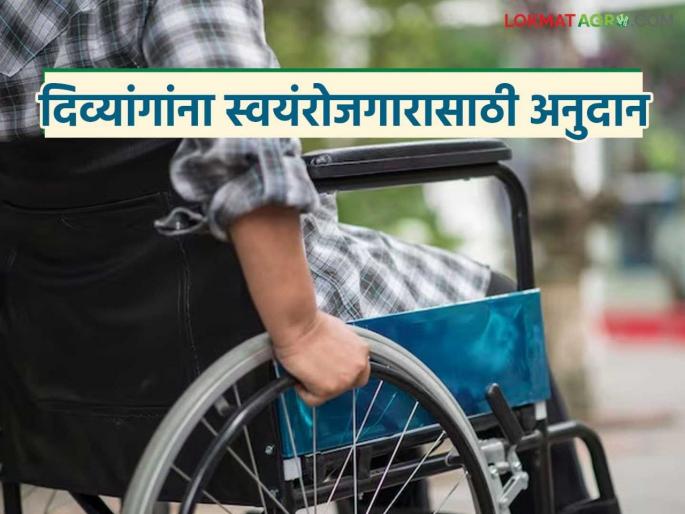 latest News Disabled people will get Rs 50 thoausand subsidy by zilha parishad scheme for self-employment | ZP Subsidy Scheme : दिव्यांगांना मिळणार 50 हजार रुपये, स्वयंरोजगारासाठी झेडपीची अनुदान योजना latest News Disabled people will get Rs 50 thoausand subsidy by zilha parishad scheme for self-employment | ZP Subsidy Scheme : दिव्यांगांना मिळणार 50 हजार रुपये, स्वयंरोजगारासाठी झेडपीची अनुदान योजना