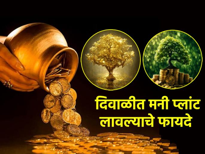 Diwali 2025: Money Plant's 'Double Boom'! Buy on 'this' day of Diwali, get double the benefits! | Diwali 2025: मनी प्लांटचा 'डबल धमाका'! दिवाळीत 'या' दिवशी' खरेदी करा, दुप्पट लाभ मिळवा! Diwali 2025: Money Plant's 'Double Boom'! Buy on 'this' day of Diwali, get double the benefits! | Diwali 2025: मनी प्लांटचा 'डबल धमाका'! दिवाळीत 'या' दिवशी' खरेदी करा, दुप्पट लाभ मिळवा!