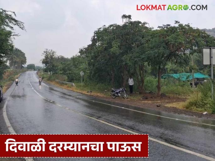 Latest News maharashtra Rain weather has changed again, chances of rain in parts of Maharashtra, read in detail | Maharashtra Rain : पुन्हा वातावरण बदललं, महाराष्ट्रात भाग बदलत पावसाची शक्यता, वाचा सविस्तर