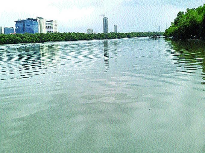 The lockdown changed the shape of Thane Bay, the water became smoother | लॉकडाऊनमुळे बदलले ठाण्याच्या खाडीचे रुपडे, पाणी झाले नितळ