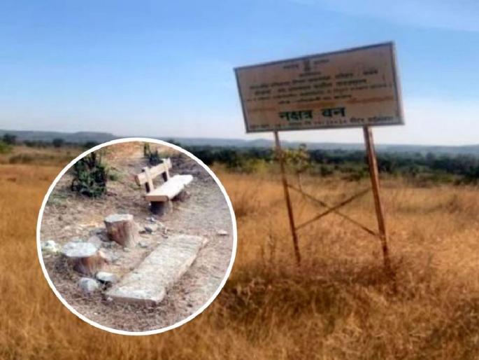 The arrangement of crores ruined due to negligence of forest park; Defects in audit | कोट्यवधींचा साज पण वनउद्याने झाली भकास; लेखा परीक्षणात ठपका The arrangement of crores ruined due to negligence of forest park; Defects in audit | कोट्यवधींचा साज पण वनउद्याने झाली भकास; लेखा परीक्षणात ठपका