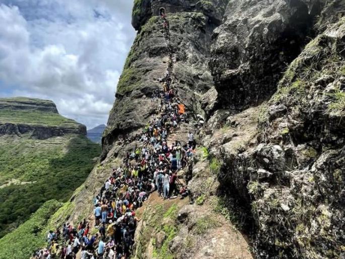 amateur tourists banned at Harihar fort in Nashik; Order issued by the Forest Department | अखेर नाशिकच्या हरिहर गडावर हौशी पर्यटकांना बंदी; वनविभागाने काढले फर्मान amateur tourists banned at Harihar fort in Nashik; Order issued by the Forest Department | अखेर नाशिकच्या हरिहर गडावर हौशी पर्यटकांना बंदी; वनविभागाने काढले फर्मान