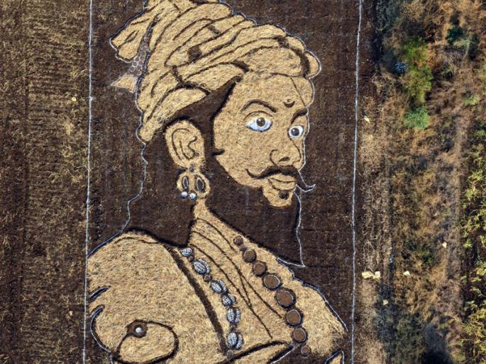 The alchemy of Shiva devotees; Image of Sakarali Shivaraya in half an acre from Kadaba | Shivjayanti: सोलापुरात कडब्यापासून अर्ध्या एकरात साकारली शिवरायांची प्रतिमा; पाहा VIDEO The alchemy of Shiva devotees; Image of Sakarali Shivaraya in half an acre from Kadaba | Shivjayanti: सोलापुरात कडब्यापासून अर्ध्या एकरात साकारली शिवरायांची प्रतिमा; पाहा VIDEO