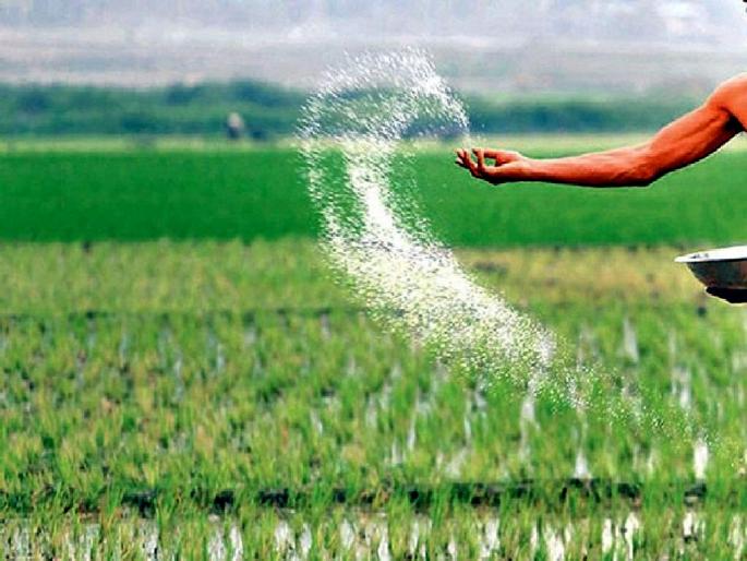 demand of Urea rises as supply get less than demand; selling at high prices | मागणी वाढताच युरियाची बोंबाबोंब; पिके वाढीवर, मागणीच्या तुलनेत पुरवठा कमी demand of Urea rises as supply get less than demand; selling at high prices | मागणी वाढताच युरियाची बोंबाबोंब; पिके वाढीवर, मागणीच्या तुलनेत पुरवठा कमी