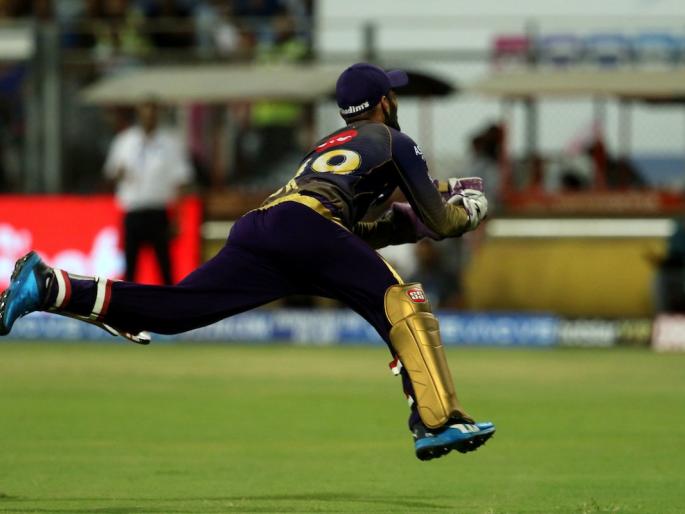 IPL 2019: Dinesh Karthik took superb catch, video viral | IPL 2019 : दिनेश कार्तिकचा अफलातून झेल पाहायलाच हवा, व्हिडीओ वायरल