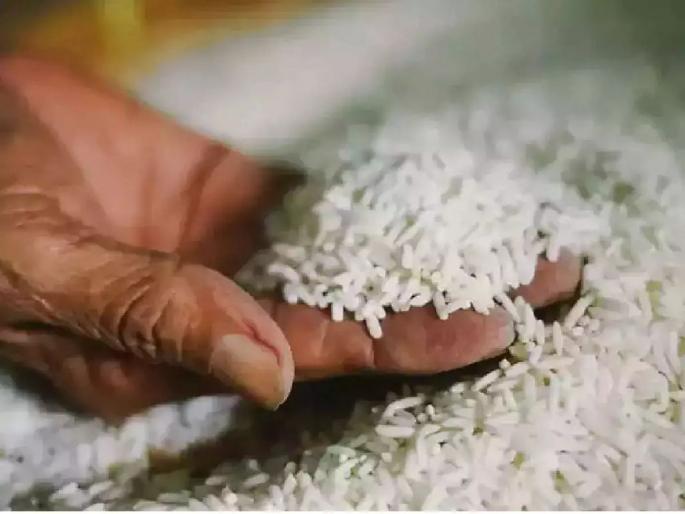 The Rice Scam; Collector's action, six mills in 'black list' | तांदूळ घोटाळा; जिल्हाधिकाऱ्यांचा दणका, सहा गिरण्या 'ब्लॅक लिस्ट'मध्ये The Rice Scam; Collector's action, six mills in 'black list' | तांदूळ घोटाळा; जिल्हाधिकाऱ्यांचा दणका, सहा गिरण्या 'ब्लॅक लिस्ट'मध्ये