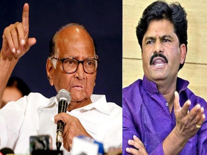 I want to speak, but not now, said NCP President Sharad Pawar | गोपीचंद पडळकरांच्या वादग्रस्त विधानावर शरद पवारांनी दिली पहिली प्रतिक्रिया; म्हणाले...