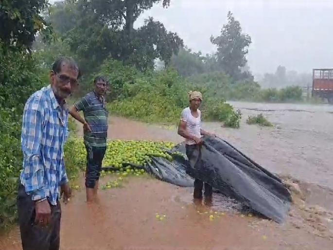 Heavy rains in Nagpur district, 6 tonnes of Mosambi washed away in Katol | जिल्ह्यात पावसाचे धुमशान, काटाेलात ६ टन माेसंबी गेली वाहून Heavy rains in Nagpur district, 6 tonnes of Mosambi washed away in Katol | जिल्ह्यात पावसाचे धुमशान, काटाेलात ६ टन माेसंबी गेली वाहून