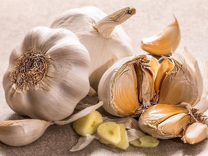 Country garlic has become rare, due to increase in demand, garlic price has increased by 300 pa... | देशी लसूण झाला दूर्मिळ, मागणी वाढल्याने लसणाचे दर ३०० पार... Country garlic has become rare, due to increase in demand, garlic price has increased by 300 pa... | देशी लसूण झाला दूर्मिळ, मागणी वाढल्याने लसणाचे दर ३०० पार...