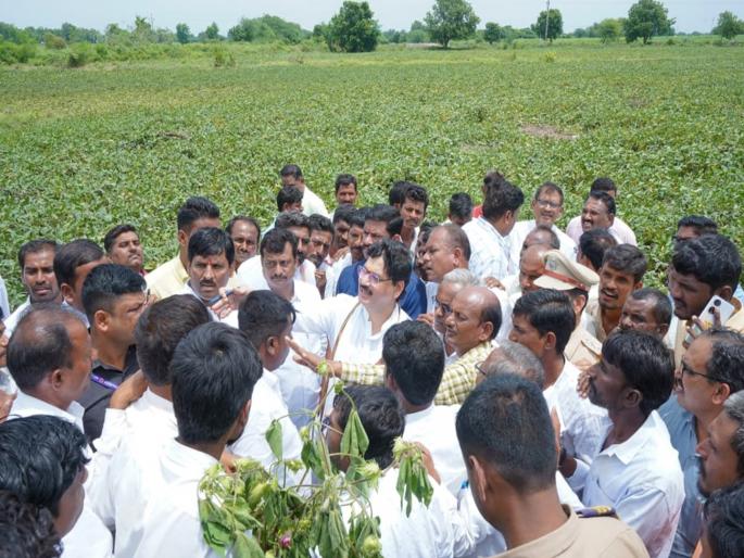 Government positive for compensation; Farmers should file complaints online: Dhananjay Munde | नुकसान भरपाईसाठी सरकार सकारात्मक; शेतकऱ्यांनी ऑनलाइन तक्रारी कराव्यात: धनंजय मुंडे Government positive for compensation; Farmers should file complaints online: Dhananjay Munde | नुकसान भरपाईसाठी सरकार सकारात्मक; शेतकऱ्यांनी ऑनलाइन तक्रारी कराव्यात: धनंजय मुंडे