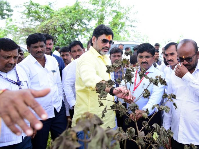'Don't worry, I am taking responsible for your daughter's marriage'; Dhananjay Munde reassured the desperate farmer | 'मुलीचे लग्न ठरल्याप्रमाणे होईल', धनंजय मुंडेंनी नुकसानग्रस्त शेतकऱ्यास धीर देत दिला शब्द!