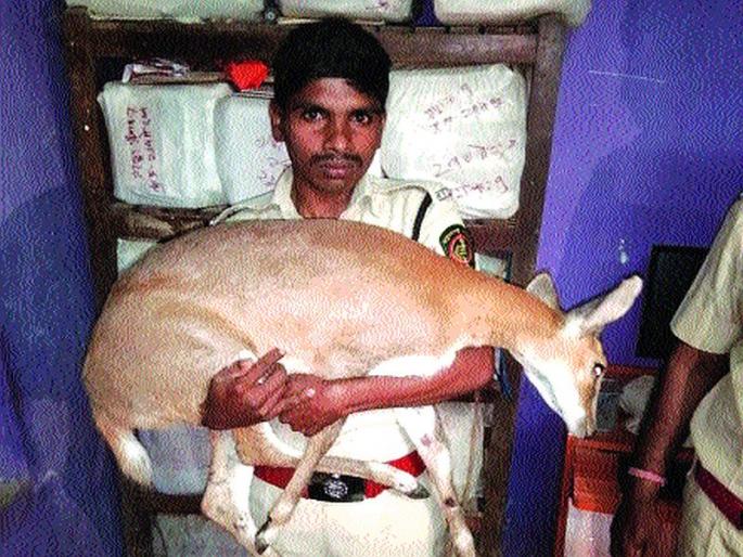 Police convict Patil for killing Bhekar | भेकर मृत्यूप्रकरणी पोलीस पाटलावर गुन्हा Police convict Patil for killing Bhekar | भेकर मृत्यूप्रकरणी पोलीस पाटलावर गुन्हा