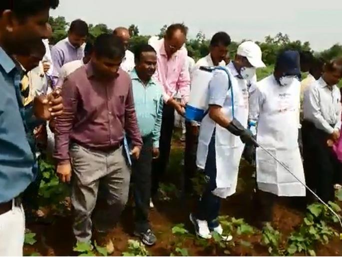 When the collector sprayed, Collector won villagers mind in yavatmal | जेव्हा जिल्हाधिकारी करतात फवारणी, गावकऱ्यांची जिंकली मने When the collector sprayed, Collector won villagers mind in yavatmal | जेव्हा जिल्हाधिकारी करतात फवारणी, गावकऱ्यांची जिंकली मने