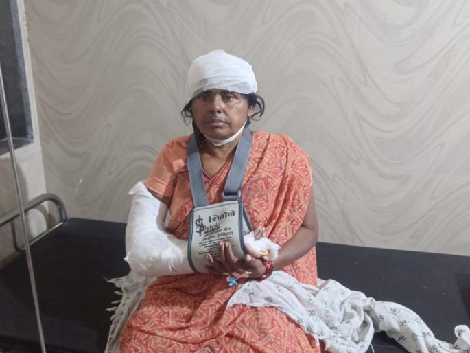 A husband and wife have been seriously injured in a beating by Daredekhars in Buldhana. | चिखलीत दराेडेखाेरांचा हैदाेस; पती,पत्नीस केली मारहाण A husband and wife have been seriously injured in a beating by Daredekhars in Buldhana. | चिखलीत दराेडेखाेरांचा हैदाेस; पती,पत्नीस केली मारहाण