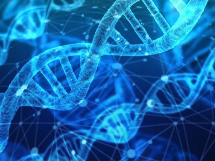 Three killed in Yavatmal district; 117 newly positive | यवतमाळ जिल्ह्यात तिघांचा मृत्यू ; ११७ नव्याने पॉझिटिव्ह Three killed in Yavatmal district; 117 newly positive | यवतमाळ जिल्ह्यात तिघांचा मृत्यू ; ११७ नव्याने पॉझिटिव्ह