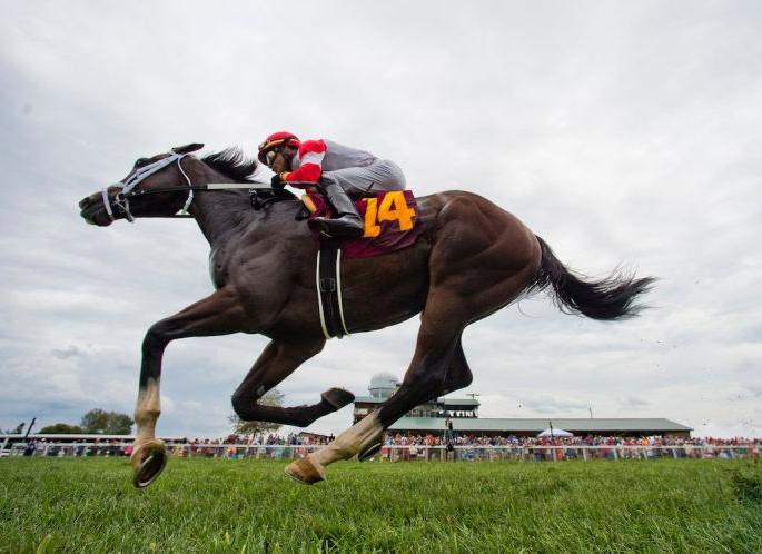 Fraud in the name of profit from horse racing | घोड्यांच्या शर्यतीतून नफ्याच्या नावाखाली फसवणूक; आराेपी झारखंडमधील Fraud in the name of profit from horse racing | घोड्यांच्या शर्यतीतून नफ्याच्या नावाखाली फसवणूक; आराेपी झारखंडमधील