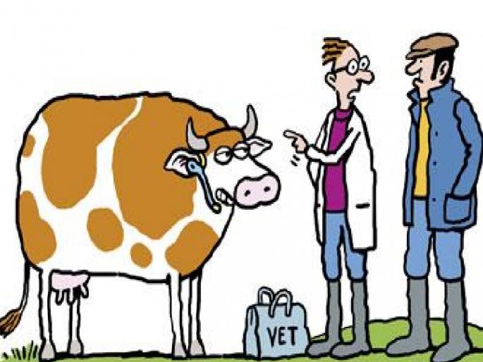 Government salary, and three officials set up a private hospital in Sangli | पगार शासनाचा, अन् तिघा अधिकाऱ्यांनी सांगलीत थाटले खासगी रुग्णालय Government salary, and three officials set up a private hospital in Sangli | पगार शासनाचा, अन् तिघा अधिकाऱ्यांनी सांगलीत थाटले खासगी रुग्णालय