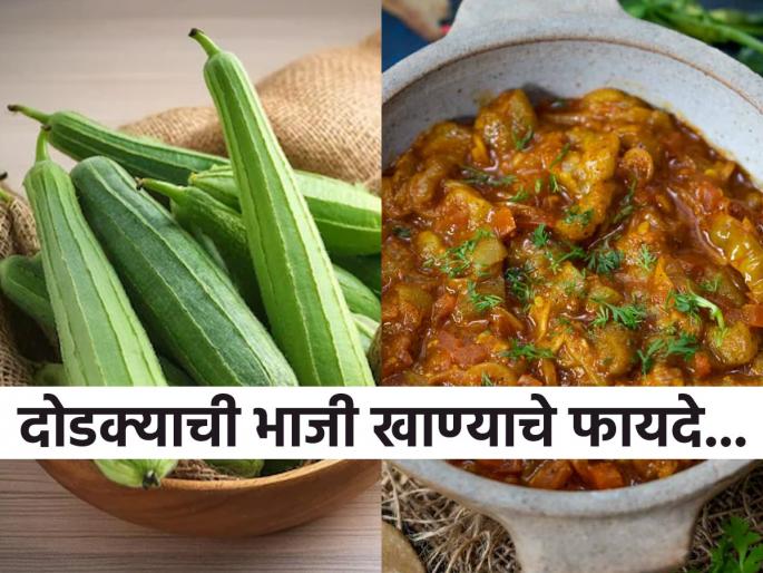 Benefits of Ridge Gourd or dodka vegetable expert tell why you should add this in daily diet | किडनी-लिव्हर होईल साफ, पोटही जाईल आत; दोडक्याचे इतके फायदे वाचाल तर रोज खाल