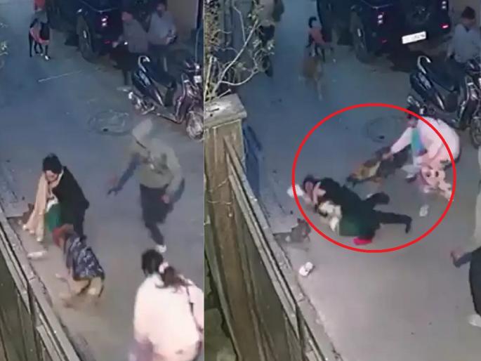 Woman attacked by dogs in delhi; Trying to scratch a baby, VIDEO goes viral | महिलेवर कुत्र्यांचा हल्ला; लहान बाळाला ओरबाडण्याचा प्रयत्न, VIDEO व्हायरल...
