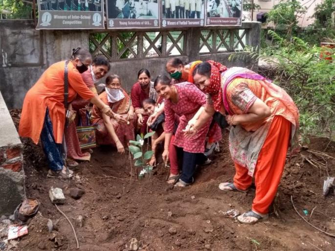 Celebrate Vatpoornima by planting Vada trees | वडाची झाडे लावून वटपौर्णिमा साजरी Celebrate Vatpoornima by planting Vada trees | वडाची झाडे लावून वटपौर्णिमा साजरी