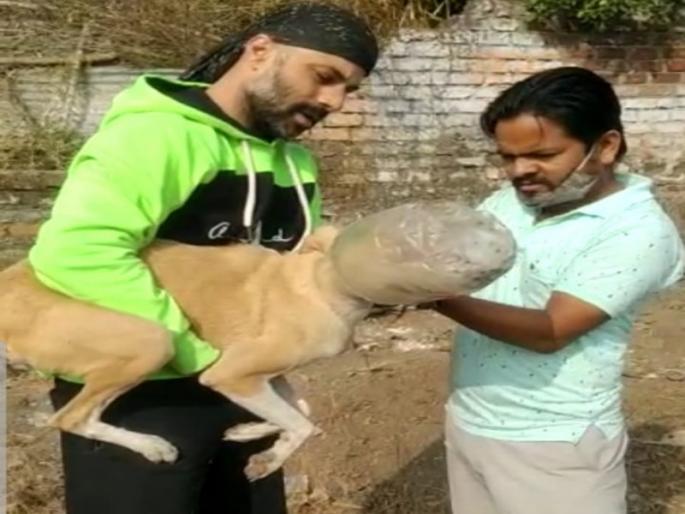 Two days later, a dog stuck in a plastic bottle was rescued | प्लॅस्टिकच्या बाटलीत तोंड अडकलेल्या कुत्र्याला 'अशा'प्रकारे मिळाले दोन दिवसांनंतर जीवदान