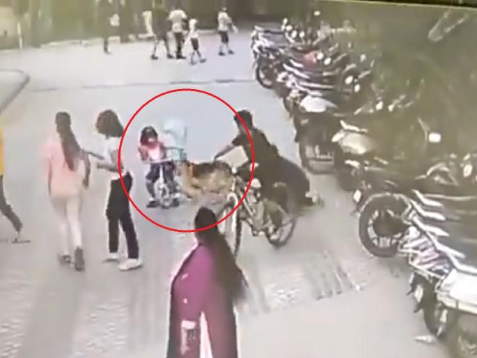 Dog Attack Video: Pet dog attacks six-year-old child; Shocking video viral | Video: पाळीव कुत्र्याचा सहा वर्षीय चिमुकलीवर हल्ला; धक्कादायक व्हिडिओ व्हायरल... Dog Attack Video: Pet dog attacks six-year-old child; Shocking video viral | Video: पाळीव कुत्र्याचा सहा वर्षीय चिमुकलीवर हल्ला; धक्कादायक व्हिडिओ व्हायरल...