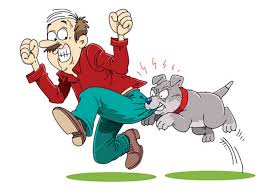 dog Bite 12 people in mangrulpir | मंगरुळपीर येथे पिसाळलेल्या कुत्र्याचा हैदोस; १२ जणांना चावा dog Bite 12 people in mangrulpir | मंगरुळपीर येथे पिसाळलेल्या कुत्र्याचा हैदोस; १२ जणांना चावा