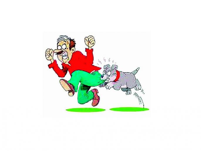 nmc statistics of number of dog bites is more than its showing on the records | मनपाकडून ‘श्वानदंश’ आकडेवारीचा ‘झोलझाल’; दोन माहिती अधिकारातील आकड्यांमध्ये तफावत nmc statistics of number of dog bites is more than its showing on the records | मनपाकडून ‘श्वानदंश’ आकडेवारीचा ‘झोलझाल’; दोन माहिती अधिकारातील आकड्यांमध्ये तफावत