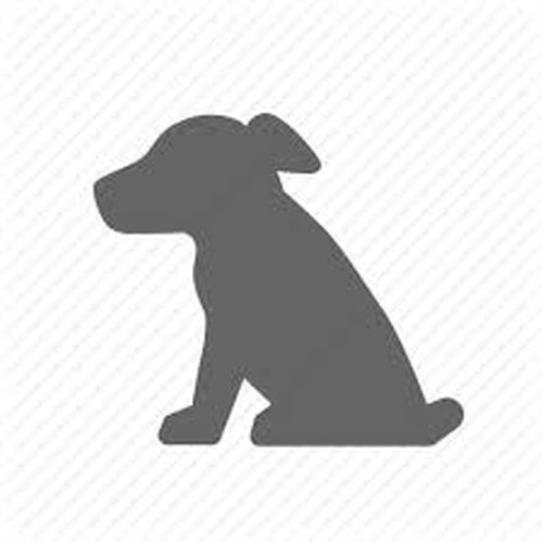 In a fit of rage, puppy thrown from gallery | रागाच्या भरात चक्क कुत्र्याच्या पिल्लाला गच्चीवरून खाली फेकले In a fit of rage, puppy thrown from gallery | रागाच्या भरात चक्क कुत्र्याच्या पिल्लाला गच्चीवरून खाली फेकले