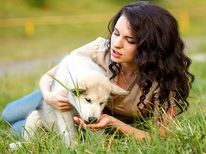 Gene's responsible for dog ownership says study | तुम्हाला कुत्रा आवडतो की नाही हे 'या' गोष्टीवर असतं अवलंबून! Gene's responsible for dog ownership says study | तुम्हाला कुत्रा आवडतो की नाही हे 'या' गोष्टीवर असतं अवलंबून!