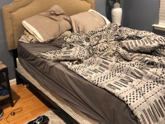 Can you find the dog in this pic it took the owner 10 minutes pic goes viral | आबरा का डाबरा! 'या' फोटोत लपलाय एक कुत्रा; अनेकजण शोधून थकले, तुम्हाला सापडतो का बघा....