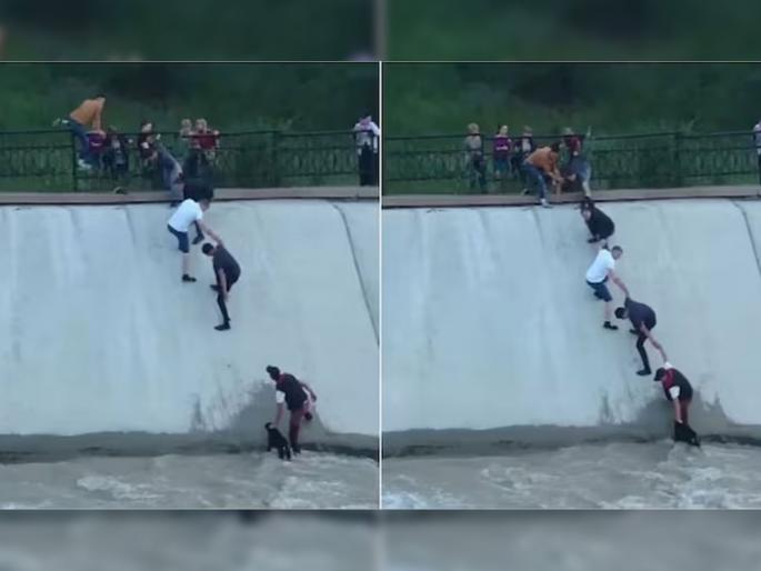 Group of people rescue dog who stuck in water watch viral video | पाण्यात पडलेल्या कुत्र्याला अनेक लोकांनी मिळून वाचवलं, कसं ते बघाल तर व्हाल अवाक्... Group of people rescue dog who stuck in water watch viral video | पाण्यात पडलेल्या कुत्र्याला अनेक लोकांनी मिळून वाचवलं, कसं ते बघाल तर व्हाल अवाक्...