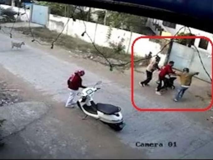 Dogs chased the bike rider, got down and pelted stones, so the owner of the dog beat him up  | दुचाकीस्वारामागे लागले कुत्रे, उतरून दगड मारले म्हणून कुत्र्याच्या मालकाने केली मारहाण 