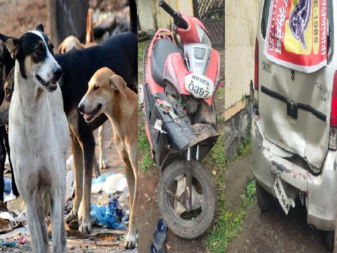 Woman seriously injured after two wheeler hits car due to fear of stray dogs in Satara | भटक्या कुत्र्यांच्या भीतीने दुचाकीची कारला धडक; महिला गंभीर जखमी, साताऱ्यातील घटना Woman seriously injured after two wheeler hits car due to fear of stray dogs in Satara | भटक्या कुत्र्यांच्या भीतीने दुचाकीची कारला धडक; महिला गंभीर जखमी, साताऱ्यातील घटना
