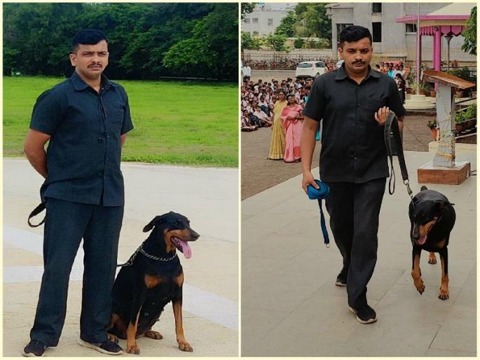 police dog squad Durga helped in kothurne incident investigation sin of murder is exposed | कोथुर्णेमध्ये 'दुर्गा’ अवतरल्याने नराधमाचे पाप उघडकीस police dog squad Durga helped in kothurne incident investigation sin of murder is exposed | कोथुर्णेमध्ये 'दुर्गा’ अवतरल्याने नराधमाचे पाप उघडकीस
