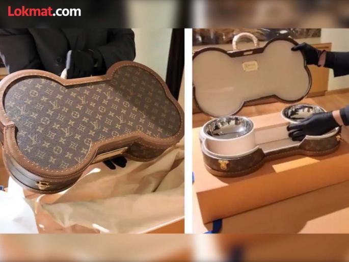Man purchase luxury suitcase worth rs 14 lakh for his dog louis vuitton | कमालच! मालकाने श्वानासाठी खरेदी केली १४ लाख रूपयांची सुटकेस, बघा आत काय? Man purchase luxury suitcase worth rs 14 lakh for his dog louis vuitton | कमालच! मालकाने श्वानासाठी खरेदी केली १४ लाख रूपयांची सुटकेस, बघा आत काय?