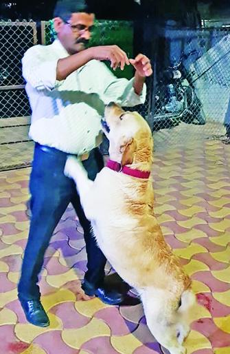 Kunda police station in the hospital! | कुत्र्यासाठी पोलीस ठाण्यात.. कुत्र्यामुळे दवाखान्यात ! 