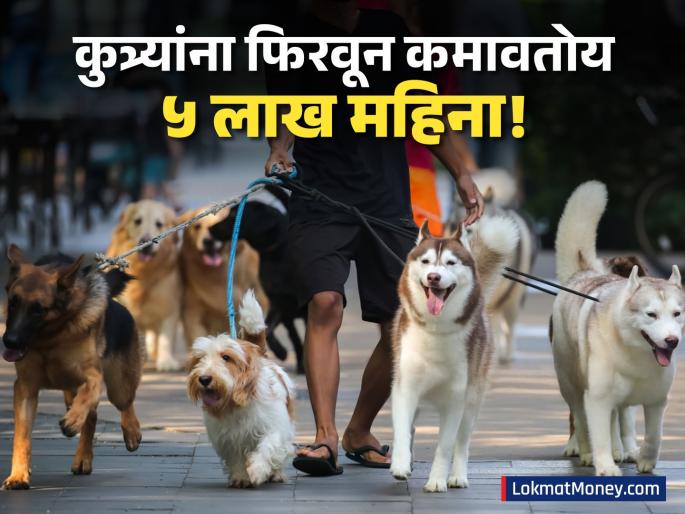 dog walker earns 4 5 lakh monthly outshines mba brother | 'हा' माणूस फक्त कुत्र्यांना फिरवून महिन्याला कमावतोय ४.५ लाख रुपये, बिझनेस आयडिया व्हायरल!
