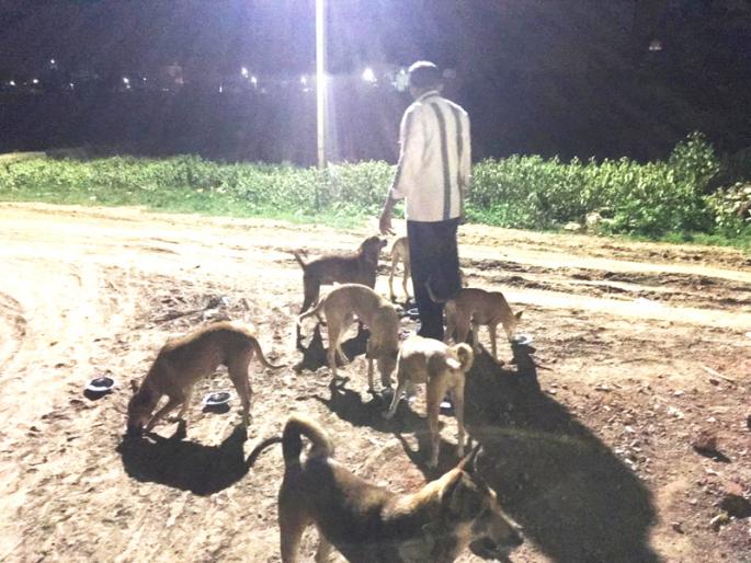 Wandering dogs are starving for 'food' | भटक्या कुत्र्यांची स्वखर्चातून भूक भागवितोय ‘अन्नदाता’ Wandering dogs are starving for 'food' | भटक्या कुत्र्यांची स्वखर्चातून भूक भागवितोय ‘अन्नदाता’