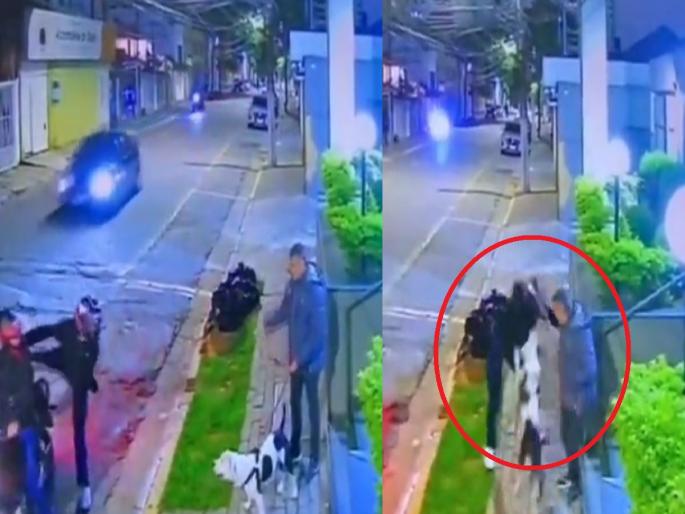 Viral Video Of Dog Saving His Owner: VIDEO: Dog Clashes With Attackers Attacking Owner; video went viral | VIDEO: मालकावर हल्ला करणाऱ्या हल्लेखोरांशी भिडला कुत्रा; व्हिडिओ व्हायरल...