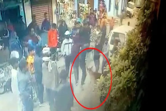 The dog took the panga to save the owner, showed the goons to Inga, the incident was captured on CCTV | मालकाला वाचवण्यासाठी कुत्र्याने घेतला पंगा, गुंडांना दाखवला इंगा, घटना सीसीटीव्हीत कैद The dog took the panga to save the owner, showed the goons to Inga, the incident was captured on CCTV | मालकाला वाचवण्यासाठी कुत्र्याने घेतला पंगा, गुंडांना दाखवला इंगा, घटना सीसीटीव्हीत कैद