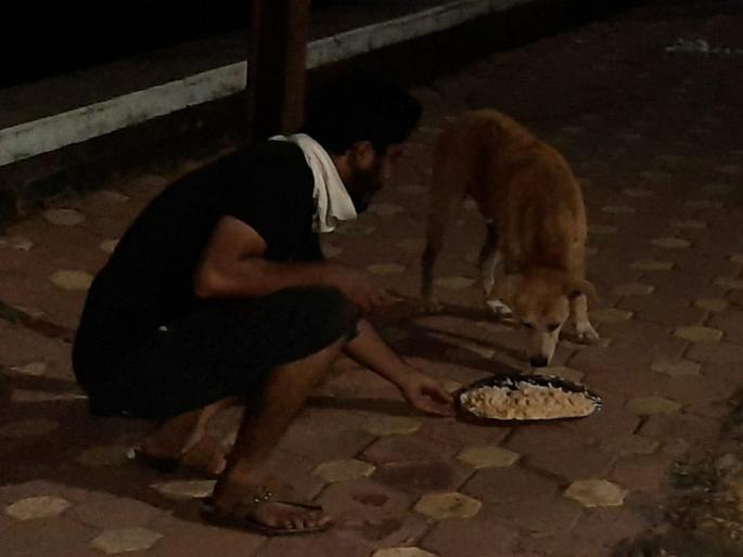 Coronavirus: Sawantwadi youngsters help to feed street dogs vrd | Coronavirus: एक घास मुक्या प्राण्यासाठी...; सावंतवाडीत तरुणांची भूतदया Coronavirus: Sawantwadi youngsters help to feed street dogs vrd | Coronavirus: एक घास मुक्या प्राण्यासाठी...; सावंतवाडीत तरुणांची भूतदया