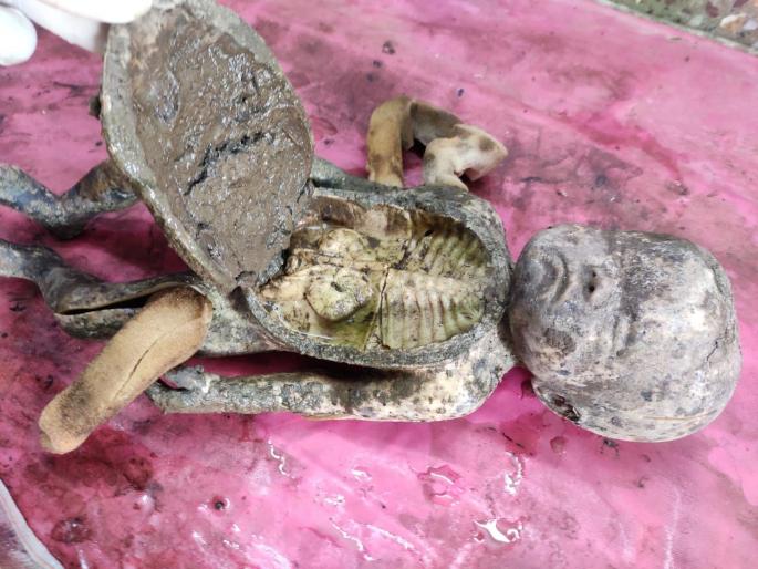 Postmortem of the doll to understand the dead infant! | मृत अर्भक समजून बाहुलीचे केले पोस्टमार्टम! Postmortem of the doll to understand the dead infant! | मृत अर्भक समजून बाहुलीचे केले पोस्टमार्टम!